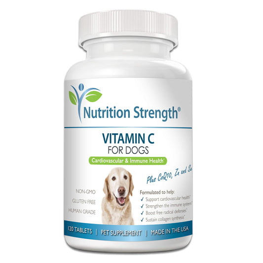 Nutrition Strength Vitamin C for Dogs to Support Cardiovascular Health Help Strengthen The Immune System Boost Free Radical Defenses and Sustain Collagen Synthesis 120 Chewable Tablets
